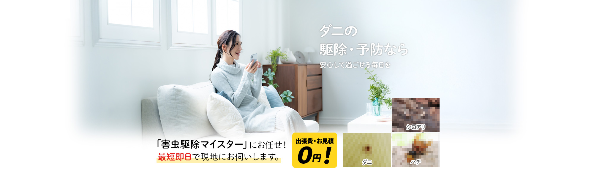 ダニの駆除・予防なら 安心して過ごせる毎日を,「害虫駆除マイスター」にお任せ!最短即日で現地にお伺いします。出張費・お見積 0円!