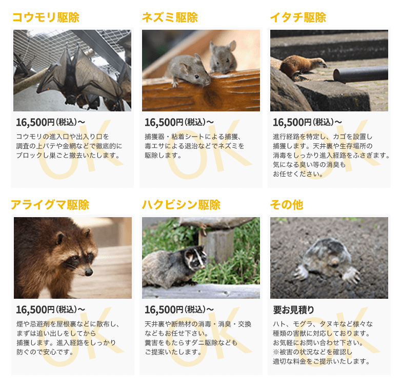 コウモリ駆除,ネズミ駆除,イタチ駆除,アライグマ駆除,ハクビシン駆除,その他