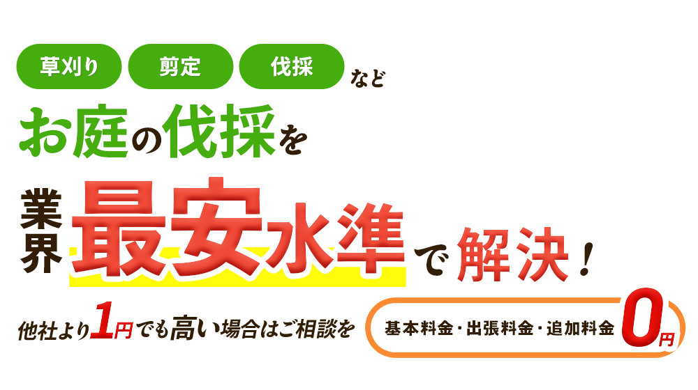 伐採のお悩みを、業界最安水準で解決！他社より1円でも高い場合はご相談を,基本料金・出張料金・追加料金0円