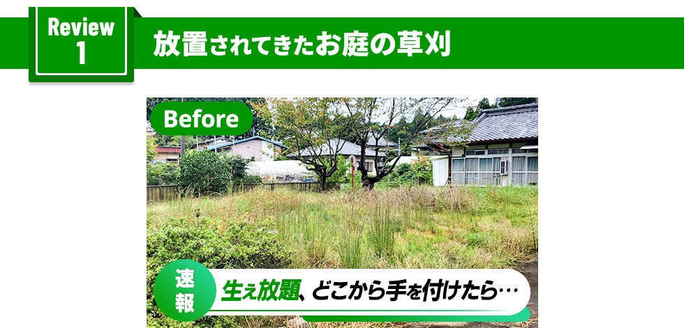 放置されてきたお庭の草刈