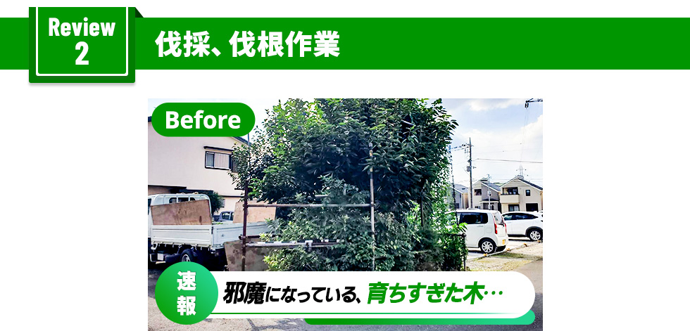 伐採、伐根作業