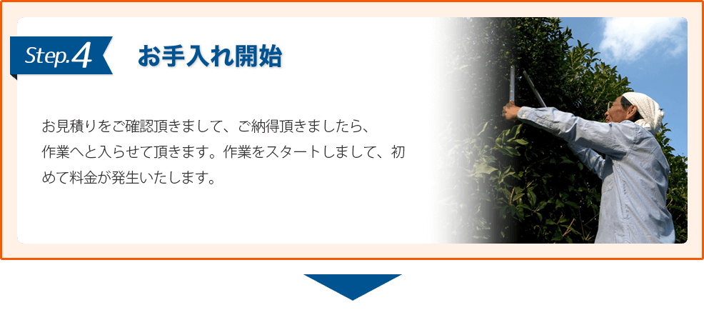 4.お手入れ開始:お見積りをご確認頂きまして、ご納得頂きましたら、作業へと入らせて頂きます。作業をスタートしまして、初めて料金が発生いたします。